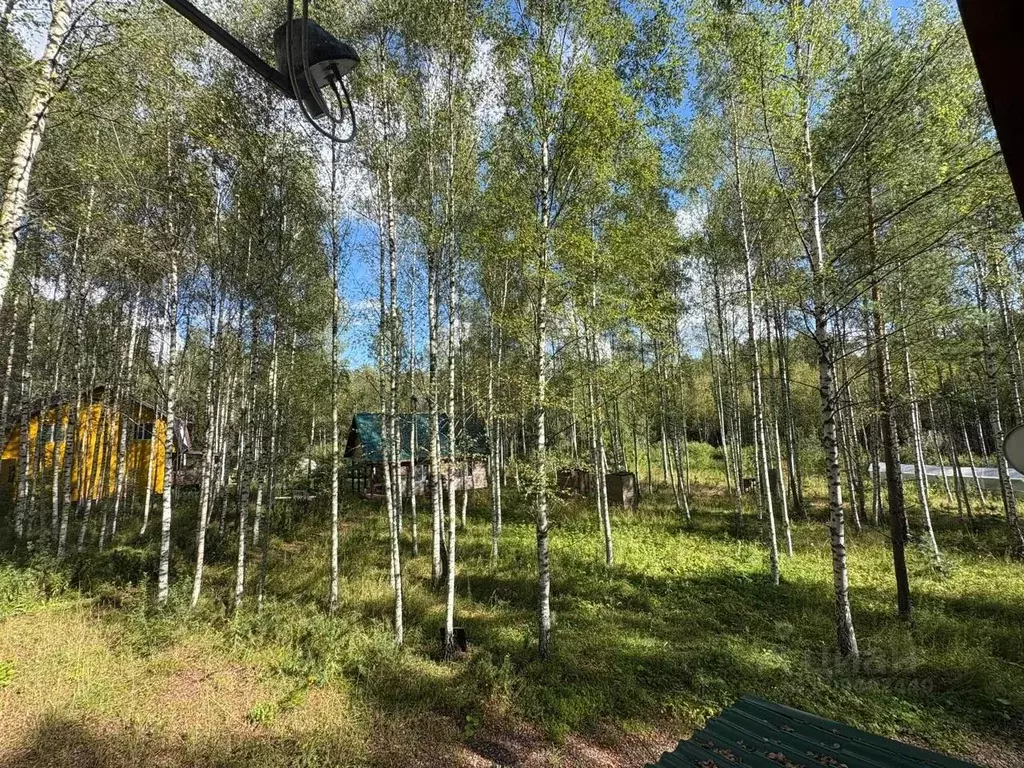 Дом в Ярославская область, Переславль-Залесский муниципальный округ, ... - Фото 2