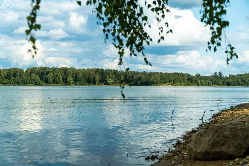 Участок в Московская область, Волоколамский муниципальный округ, КП ... - Фото 1
