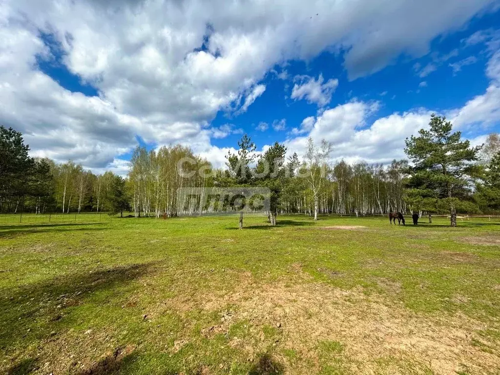 Участок в Владимирская область, Киржачский муниципальный округ, ... - Фото 2