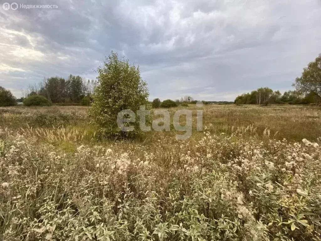 Участок в Судиславский район, Расловское сельское поселение, деревня ... - Фото 1