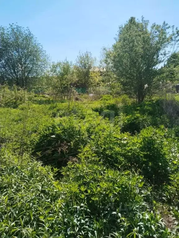 Участок в Московская область, Одинцовский городской округ, ... - Фото 2