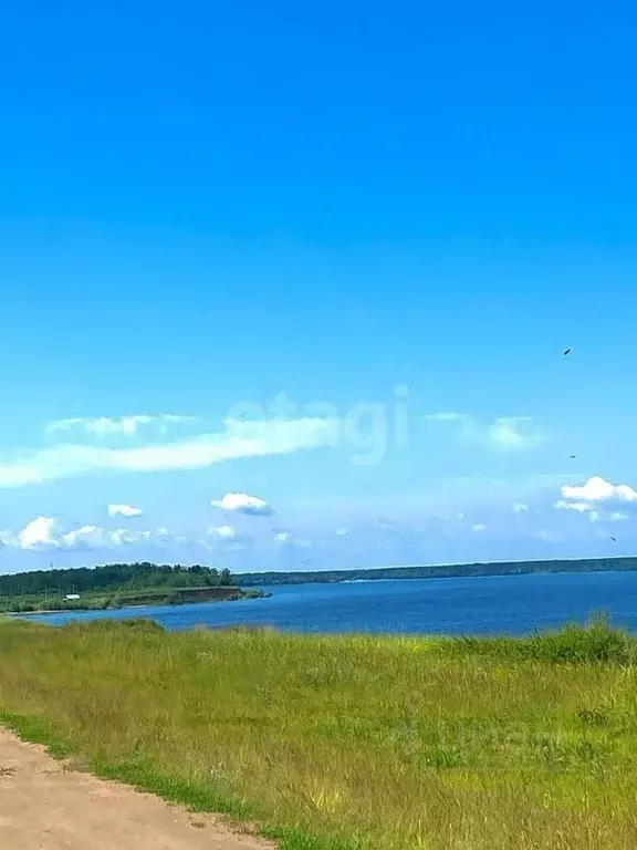 Участок в Ульяновская область, Новоульяновск с. Кременки,  (9.8 сот.) - Фото 0