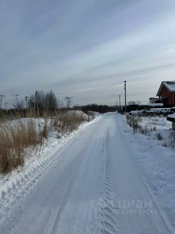 Участок в Псковская область, Псковский район, Завеличенская волость, ... - Фото 1