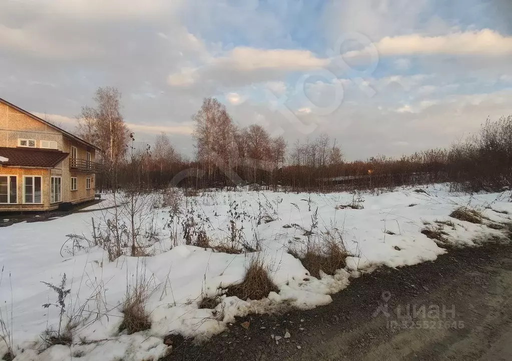 Участок в Новосибирская область, Новосибирский район, Барышевский ... - Фото 1