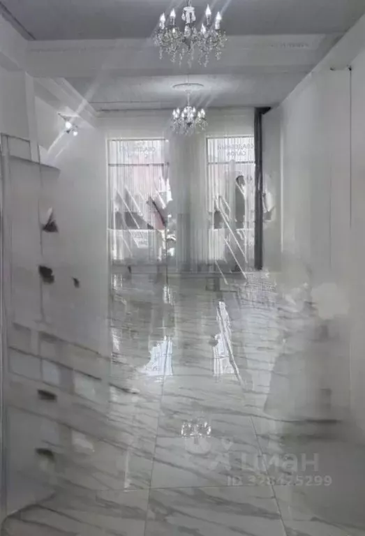 Торговая площадь в Дагестан, Махачкала ул. Дахадаева, 48 (55 м) - Фото 2