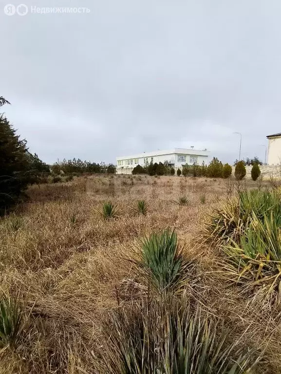 Участок в Литвиненково, Житомирская улица (5.5 м) - Фото 1