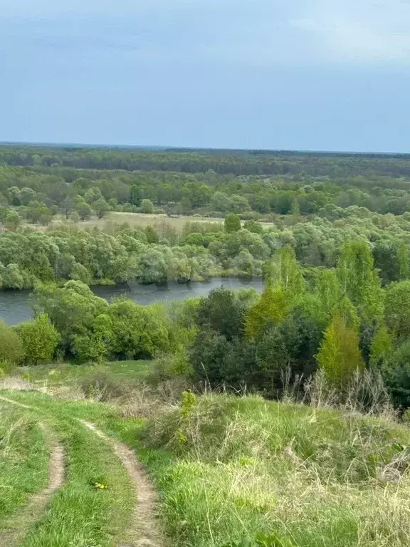 Участок в Брянская область, Трубчевский район, Юровское с/пос, д. ... - Фото 1