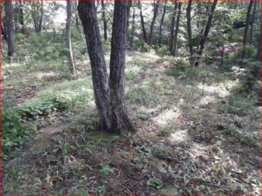 Участок в Приморский край, Владивосток Шахтовая ул., 18В (10.0 сот.) - Фото 1