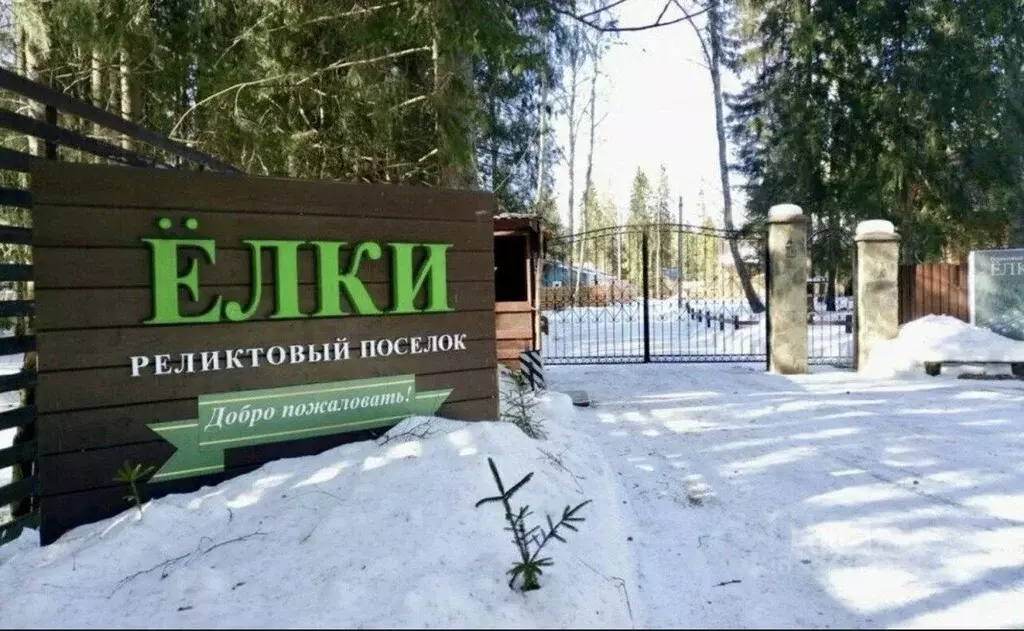 Участок в Московская область, Клин городской округ, пос. Зубово, Елки ... - Фото 1