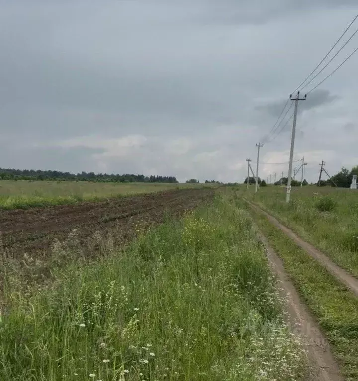 Участок в Свердловская область, Староуткинск муниципальный округ, д. ... - Фото 1