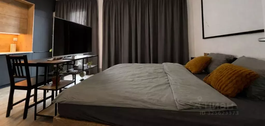 Студия Татарстан, Казань ул. Островского, 88 (30.0 м) - Фото 2