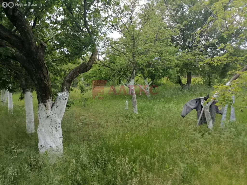 Участок в Азовский район, хутор Новоалександровка (12 м) - Фото 0