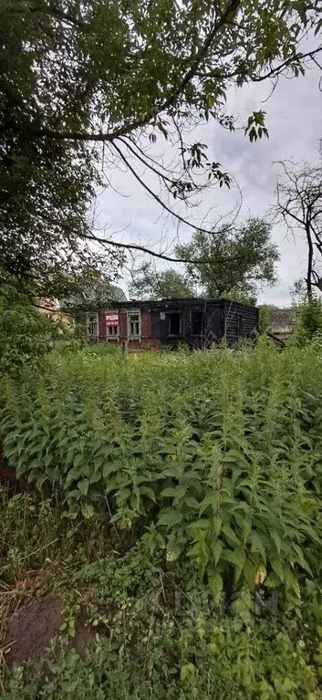Участок, 25 сот., 0 - Фото 2