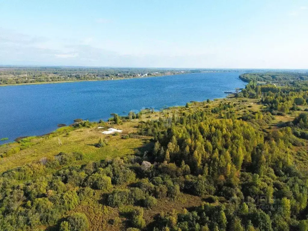 Участок в Ярославская область, Некрасовское с/пос, с. Новодашково  ... - Фото 0