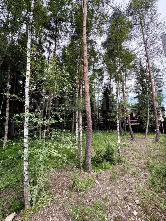 Участок в Московская область, Химки Новогорск Лес ТСН,  (25.9 сот.) - Фото 2