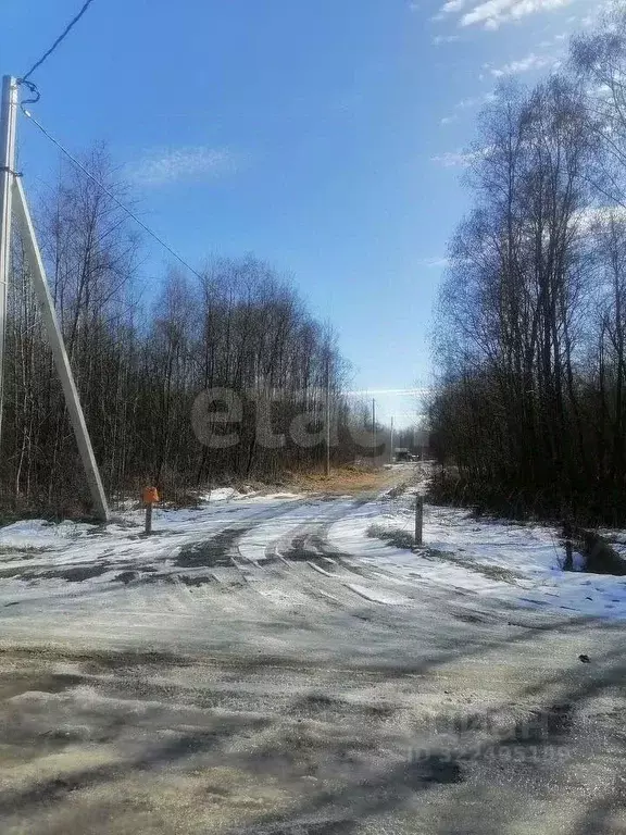 Участок в Вологодская область, Вологда Вологжанка садоводческое ... - Фото 2