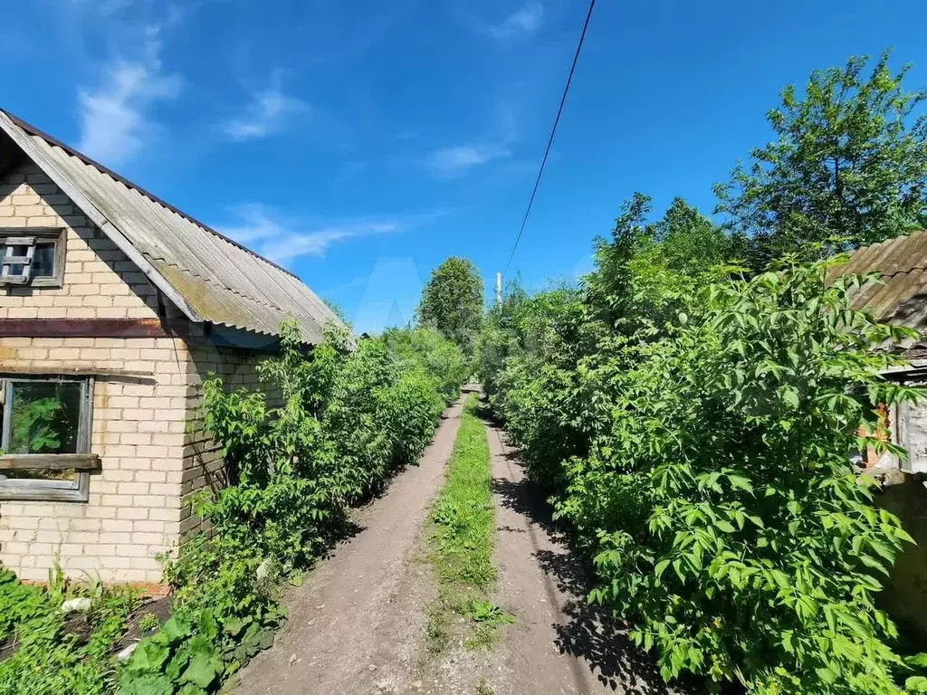 Участок 4,1 сот. (СНТ, ДНП) - Фото 1