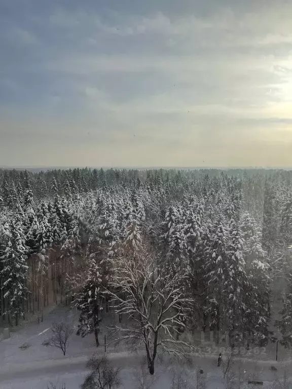 1-к кв. Московская область, Звенигород Одинцовский городской округ, ... - Фото 1