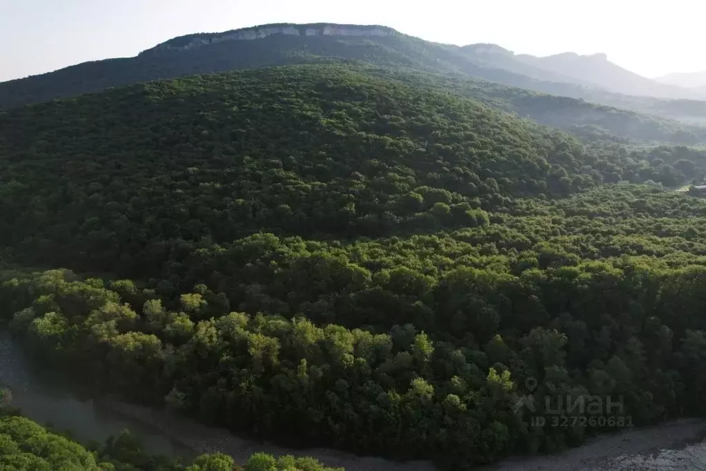 Участок в Адыгея, Майкопский район, Даховская ст-ца ул. Горького (15.0 ... - Фото 1