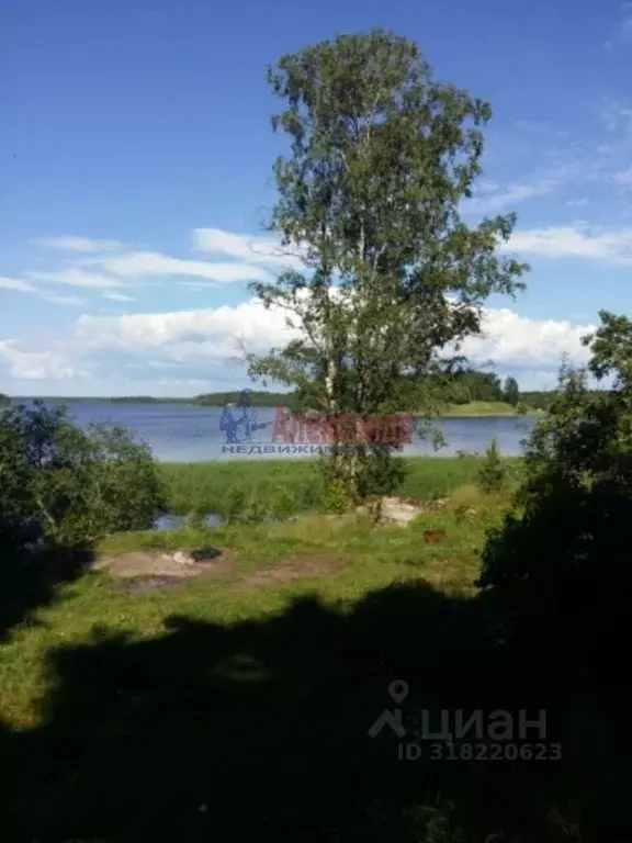 Участок в Ленинградская область, Выборгский район, Высоцкое городское ... - Фото 1