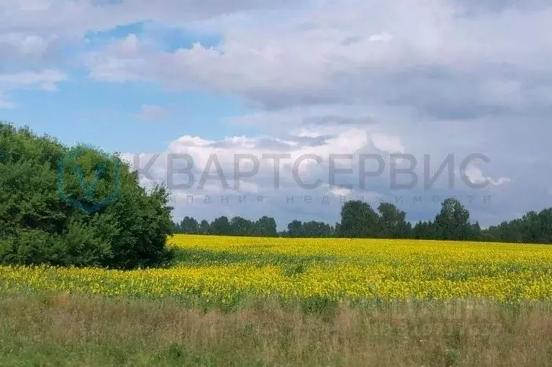 Участок в Омская область, Любинский район, с. Любино-Малороссы  ... - Фото 0