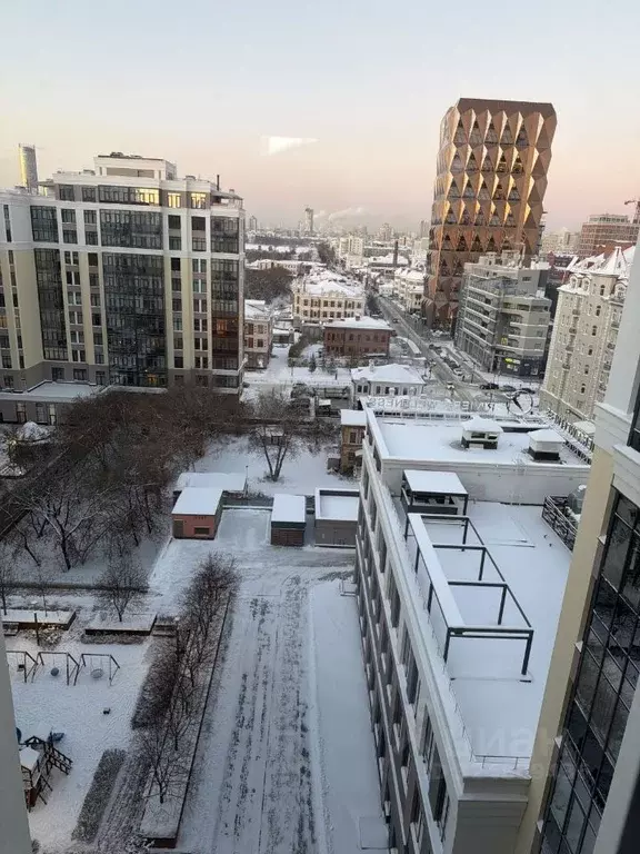 3-к кв. Свердловская область, Екатеринбург Центральный жилрайон, ... - Фото 2