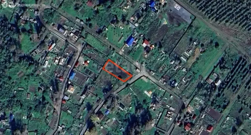 Участок в Новосибирск, СНТ Буревестник Пашинский (6.2 м) - Фото 1