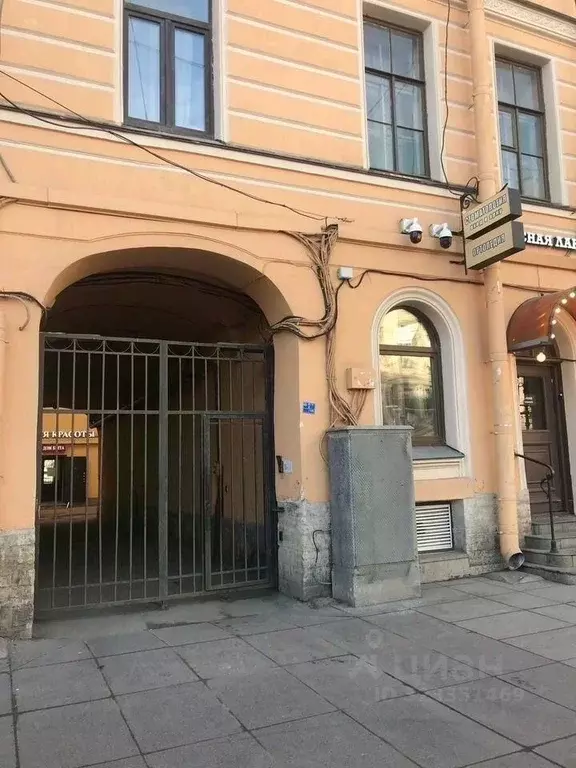 Помещение свободного назначения в Санкт-Петербург Кирочная ул., 17 (65 ... - Фото 2