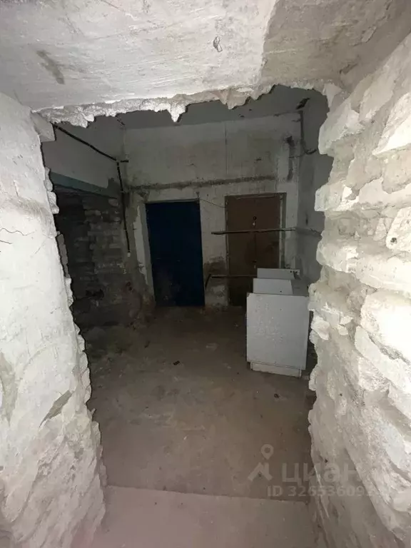 Помещение свободного назначения в Кировская область, Киров ул. Молодой ... - Фото 1