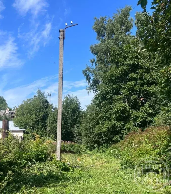 Участок в Ленинградская область, Выборгский район, Рощино городской ... - Фото 2