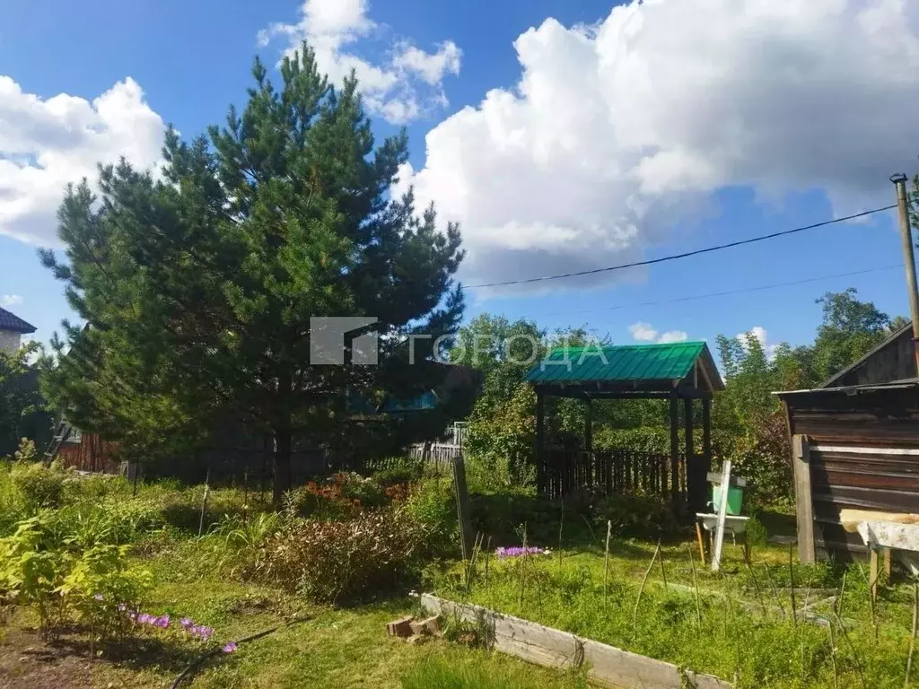 Участок в Новосибирская область, Новосибирск Аэрофлот-1 СНТ, 86 (6.2 ... - Фото 1