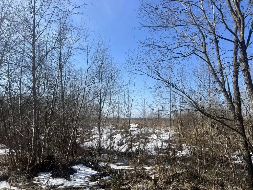Участок в Новгородская область, Новгородский район, Ермолинское с/пос  ... - Фото 2