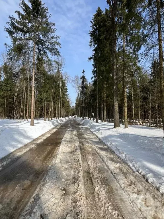 Участок в Московская область, Дмитровский муниципальный округ, д. ... - Фото 2