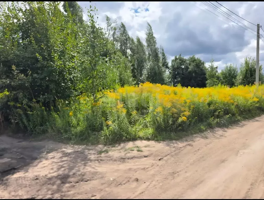 Участок в Толмачево, СДТ Здоровье (5.3 м) - Фото 2