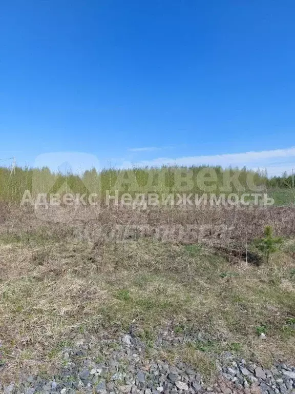 Участок в Тюменская область, Нижнетавдинский район, с. Иска ул. ... - Фото 2