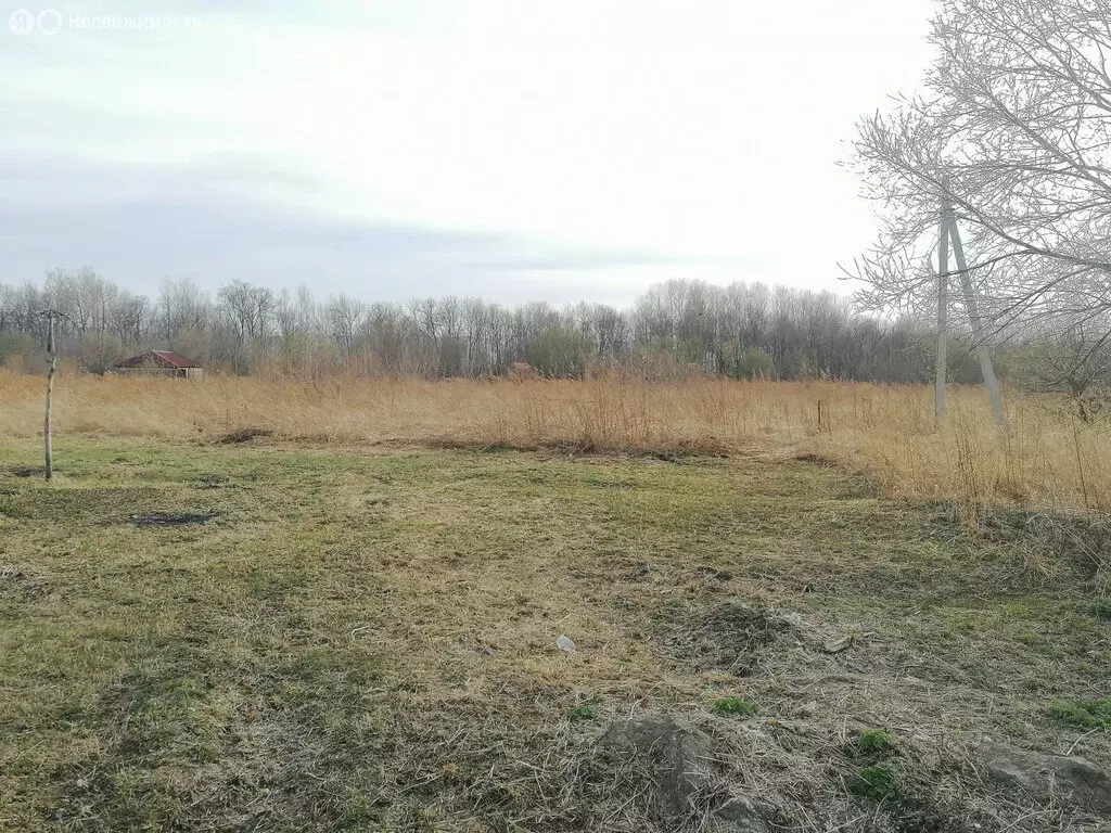 Участок в Хабаровский район, село Корсаково-1 (28 м) - Фото 1