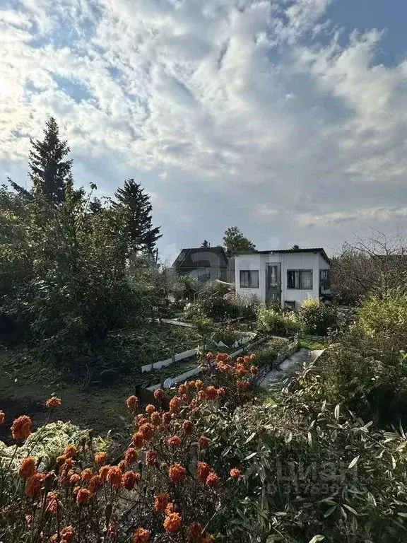 Дом в Омская область, Омск СНТ Виктория ТСН, 240 (50 м) - Фото 0