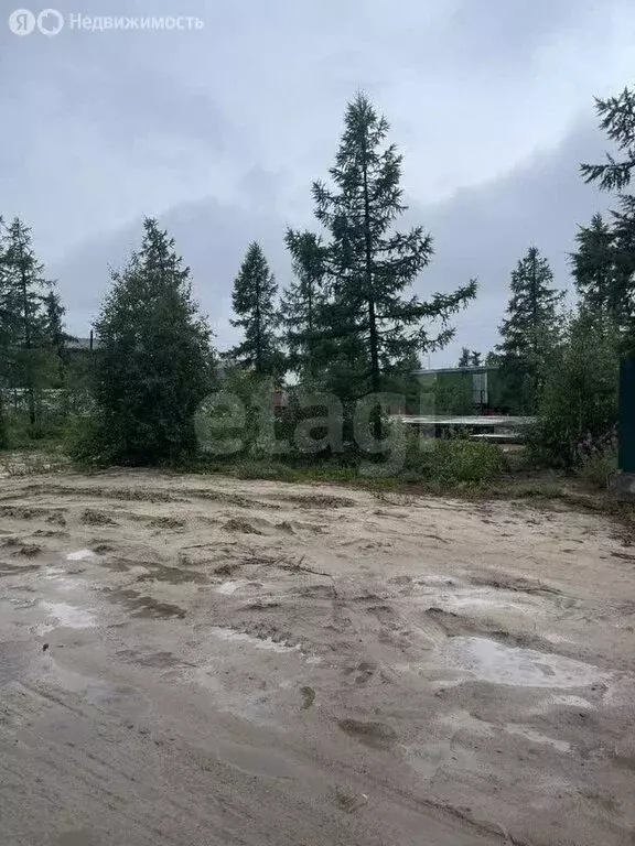 Участок в Новый Уренгой, ДК Простоквашино (6 м) - Фото 1