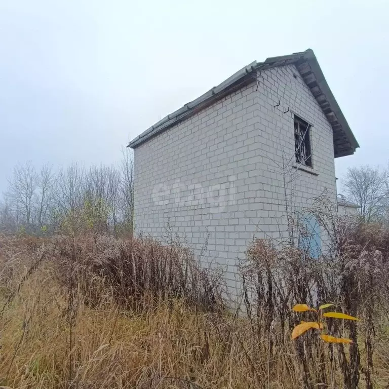 Участок в Брянская область, Брянский район, Добрунское с/пос, д. ... - Фото 1