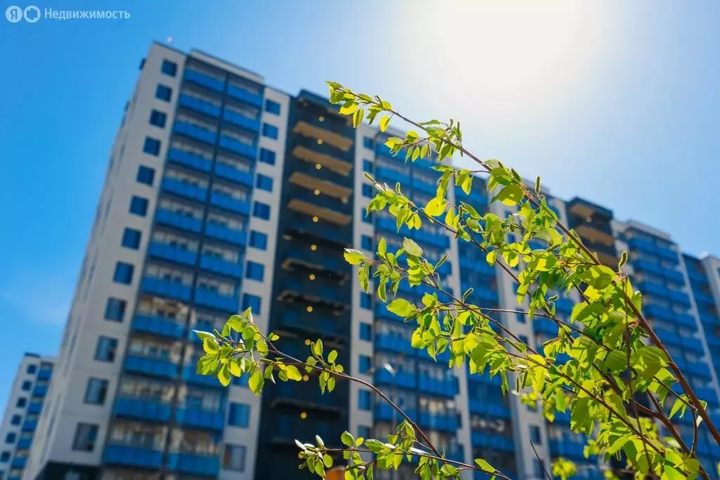 1-комнатная квартира: Мурино, Графская улица, 6к4 (35.1 м) - Фото 2