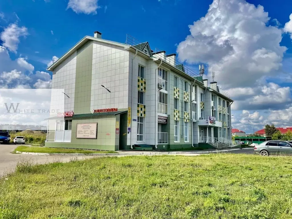 Помещение свободного назначения в Татарстан, Лаишевский район, с. ... - Фото 2
