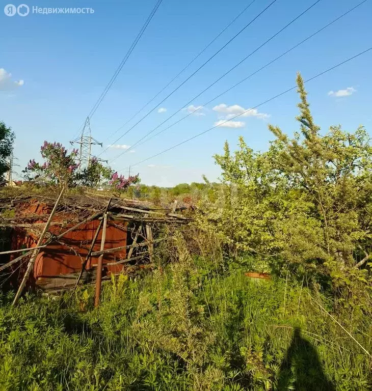 Участок в деревня Добрунь, садоводческое некоммерческое товарищество ... - Фото 0