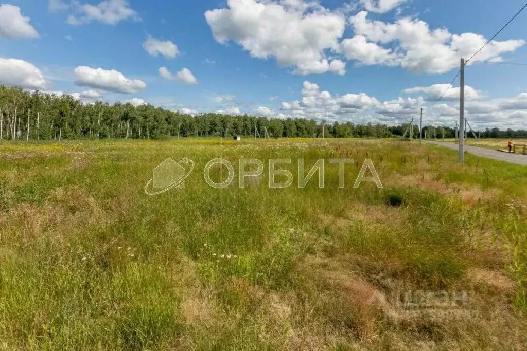 Участок в Тюменская область, Нижнетавдинский район, Строитель ТСН 786 ... - Фото 1