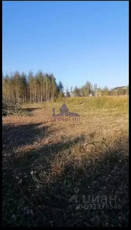Участок в Нижегородская область, Богородск ул. Кулагина, 5 (10.0 сот.) - Фото 2