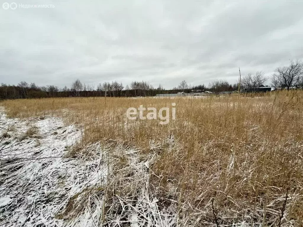 Участок в Петушинский район, муниципальное образование Нагорное, ... - Фото 1