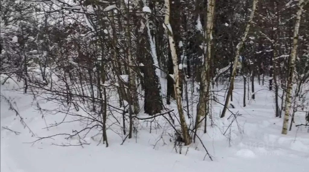 Участок в Московская область, Щелково городской округ, д. Огуднево  ... - Фото 1
