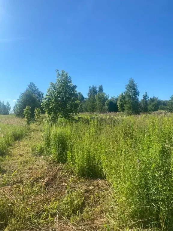 Участок в Нижегородская область, Кстовский муниципальный округ, с. ... - Фото 2
