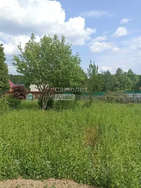 Участок в Калужская область, Совхоз Боровский с/пос, д. Тимашово  ... - Фото 0