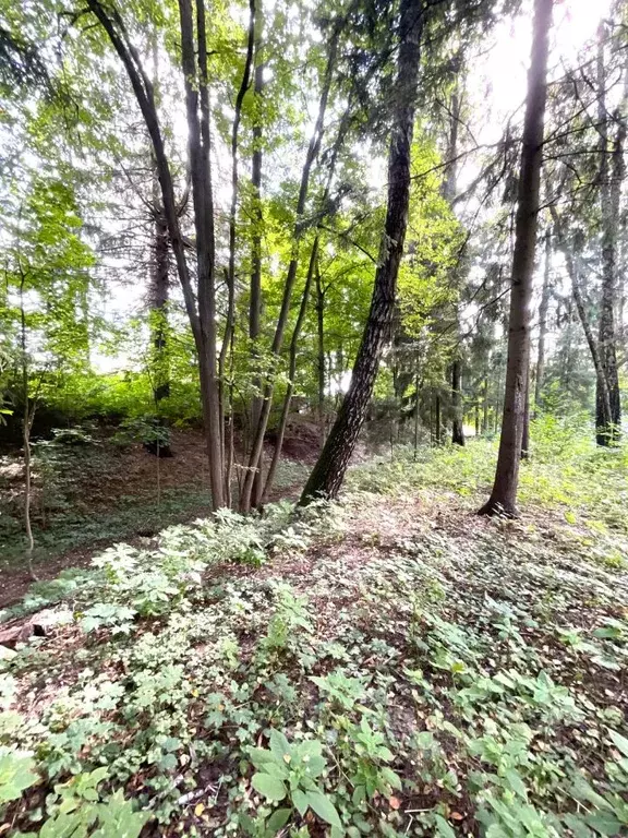 Участок в Московская область, Одинцовский городской округ, пос. ... - Фото 1