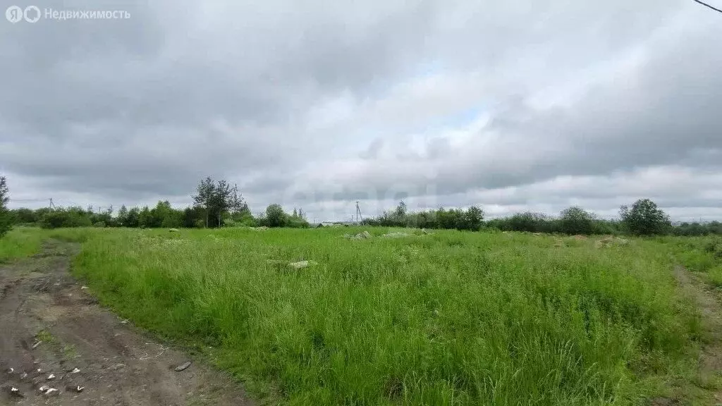 Участок в Вологодская область, Сокольский муниципальный округ, ... - Фото 1